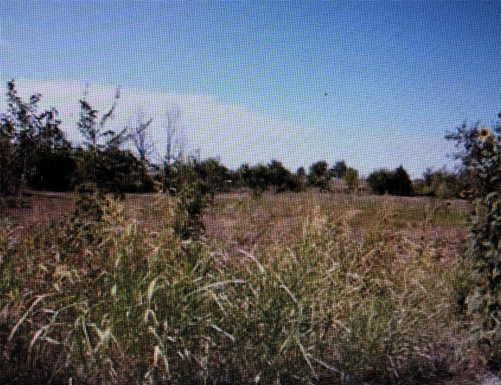 2 SE Sunnyside DR, Lawton, OK 73501