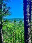 48 N Wild Cherry ST, Broken Bow, OK 74728