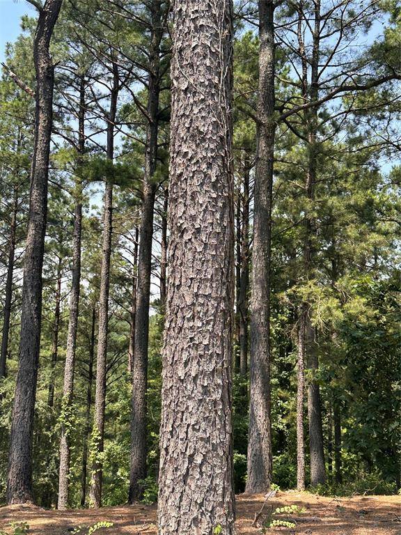 202 Crooked Cedar TRL, Broken Bow, OK 74728