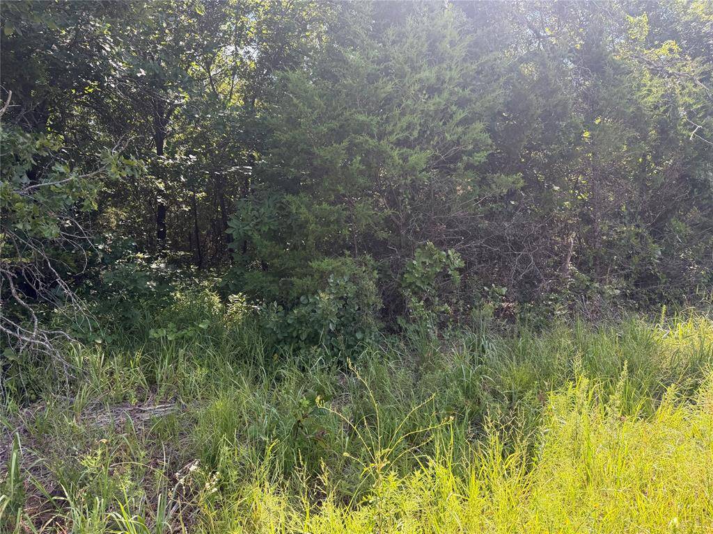 0000 Greentree DR, Newalla, OK 74857