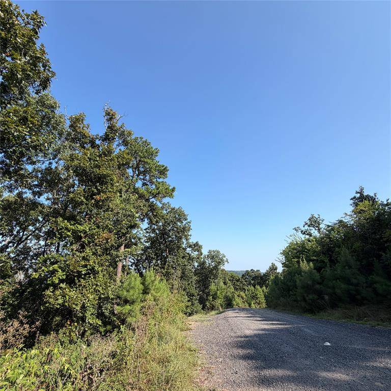 184 Vista Del Lago TRL #38, Broken Bow, OK 74728
