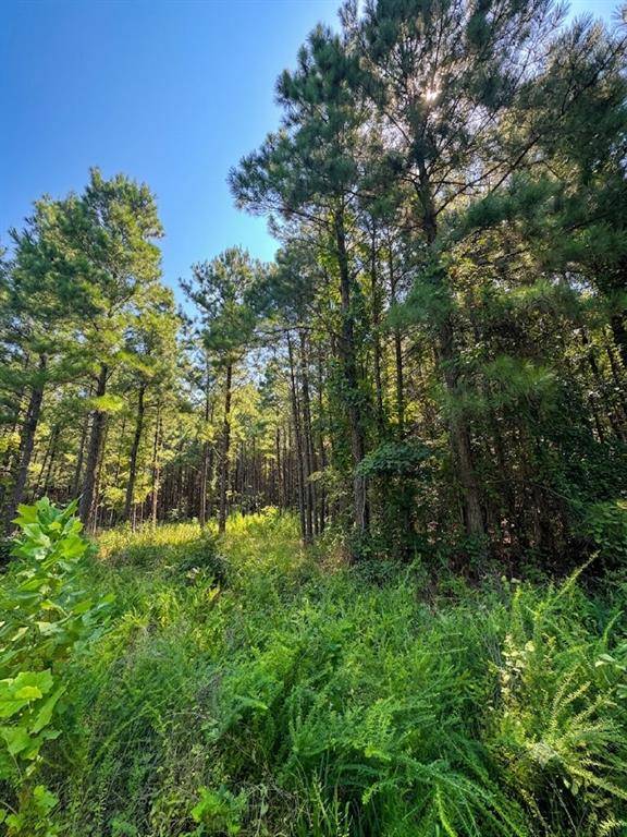 41 Creek Side TRL, Broken Bow, OK 74728