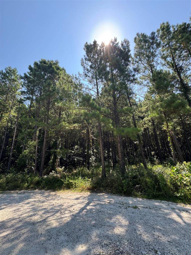 41 Creek Side TRL, Broken Bow, OK 74728
