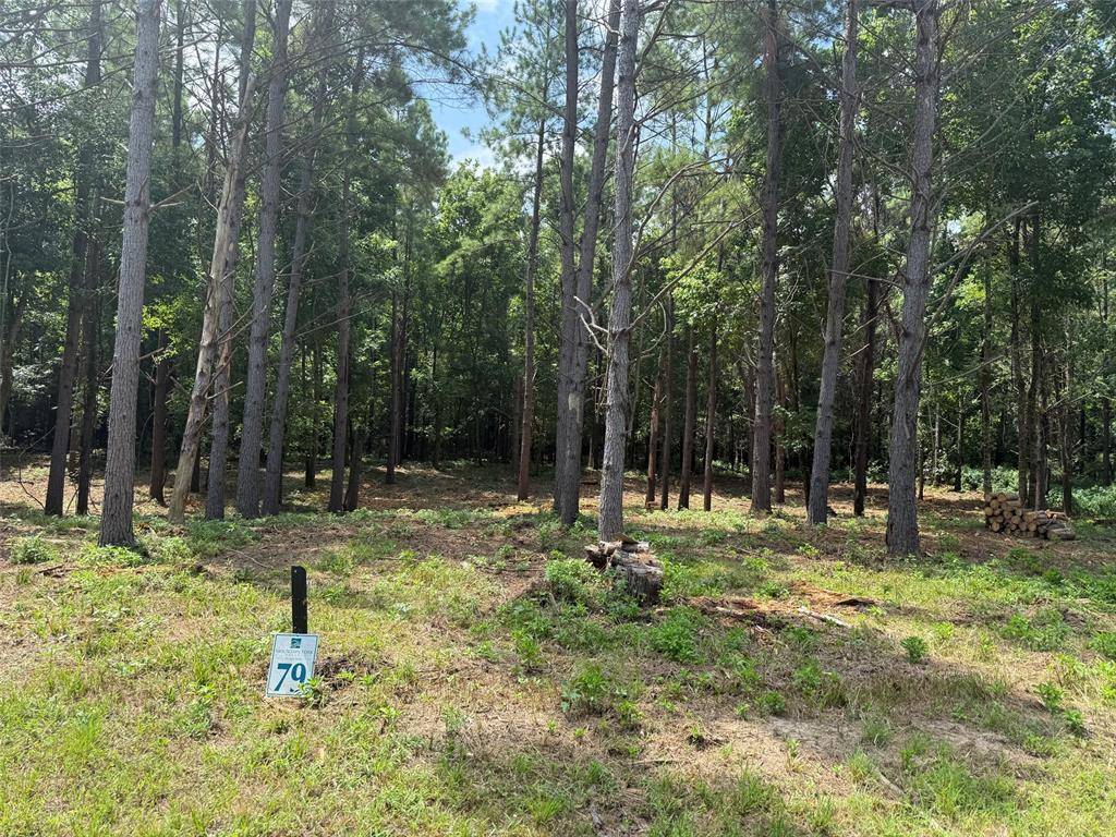 168 Cinnamon Teal TRL #Lot 79, Broken Bow, OK 74728