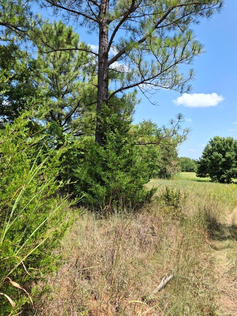 county Road 1460 RD, Ada, OK 74820