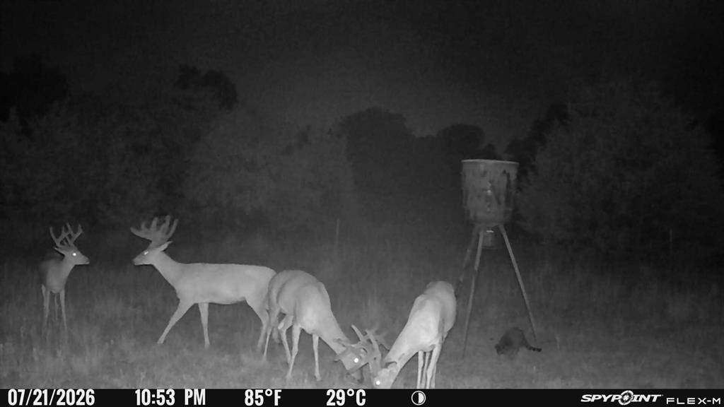 8650 Dobbs RD, Luther, OK 73054