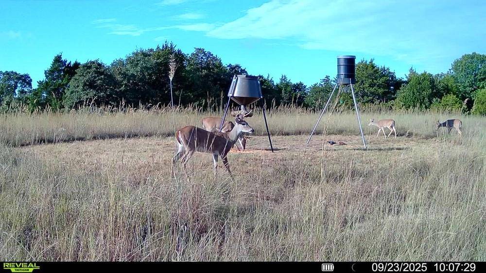 24572 W Ropers Road RD, Madill, OK 73446