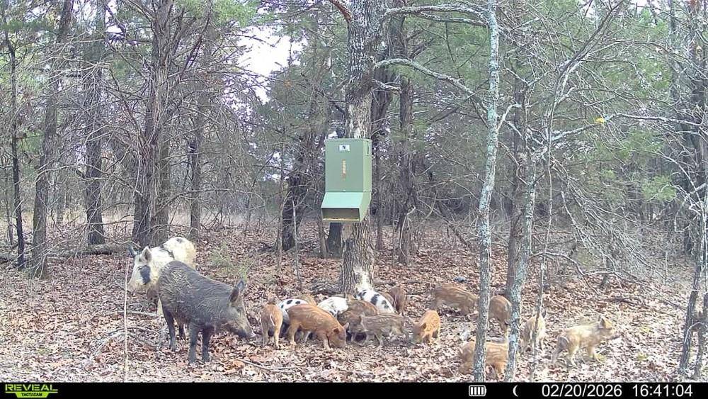 24572 W Ropers Road RD, Madill, OK 73446