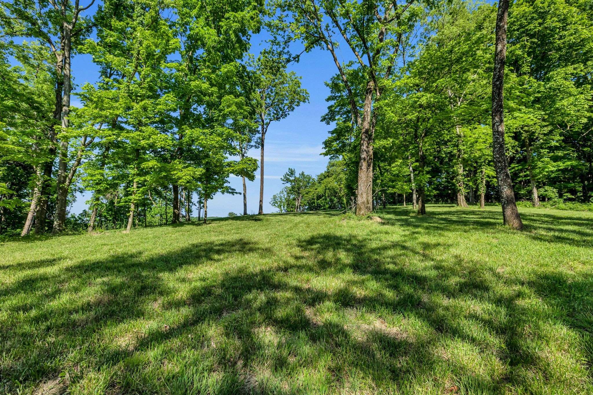 1809 Burke Hollow Rd, Nolensville, TN 37135