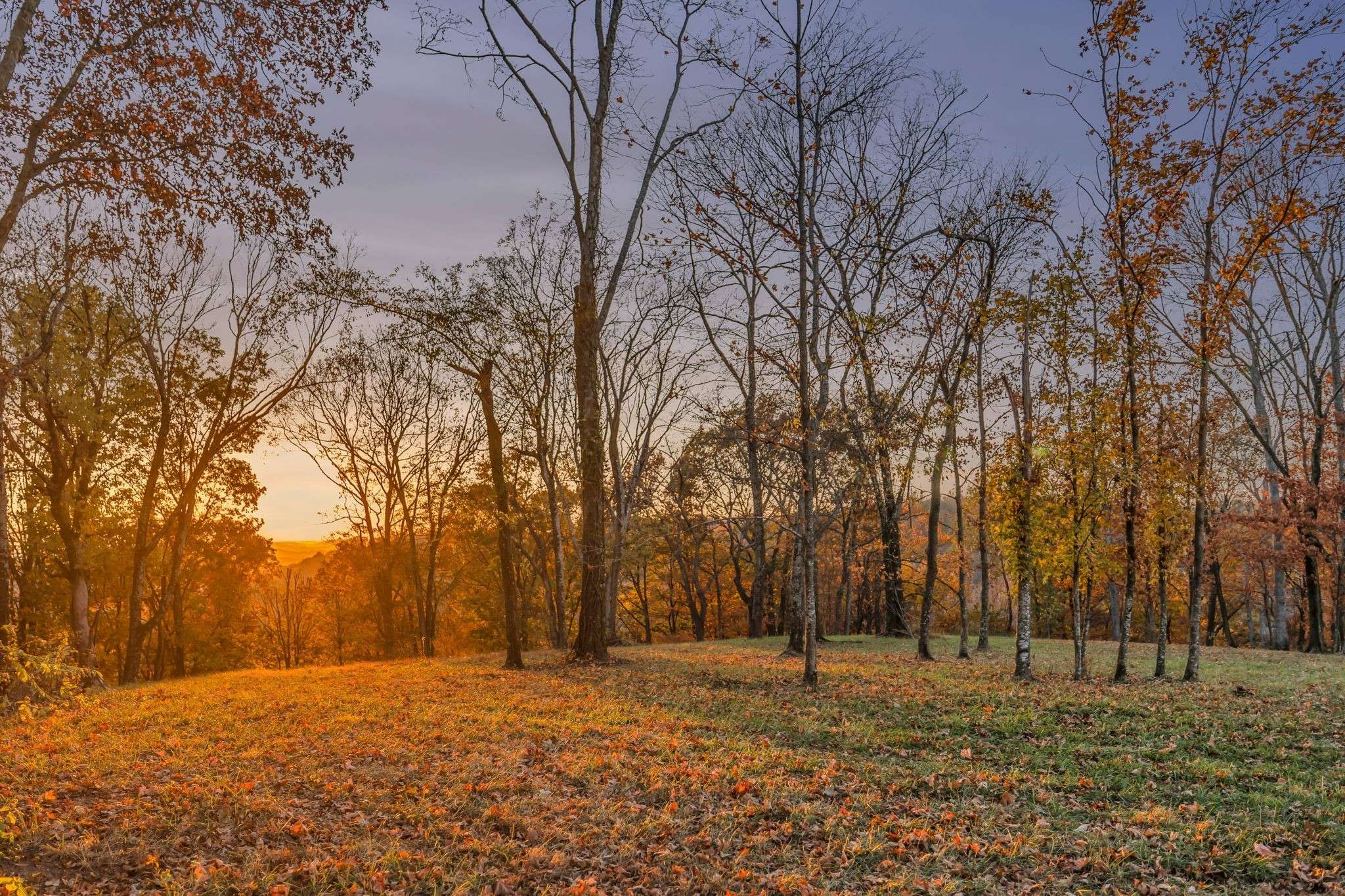1809 Burke Hollow Rd, Nolensville, TN 37135