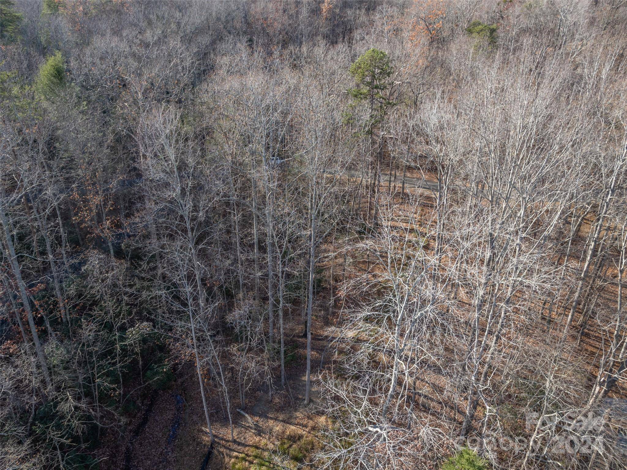 86 Lakewood DR #86, Lake Lure, NC 28746