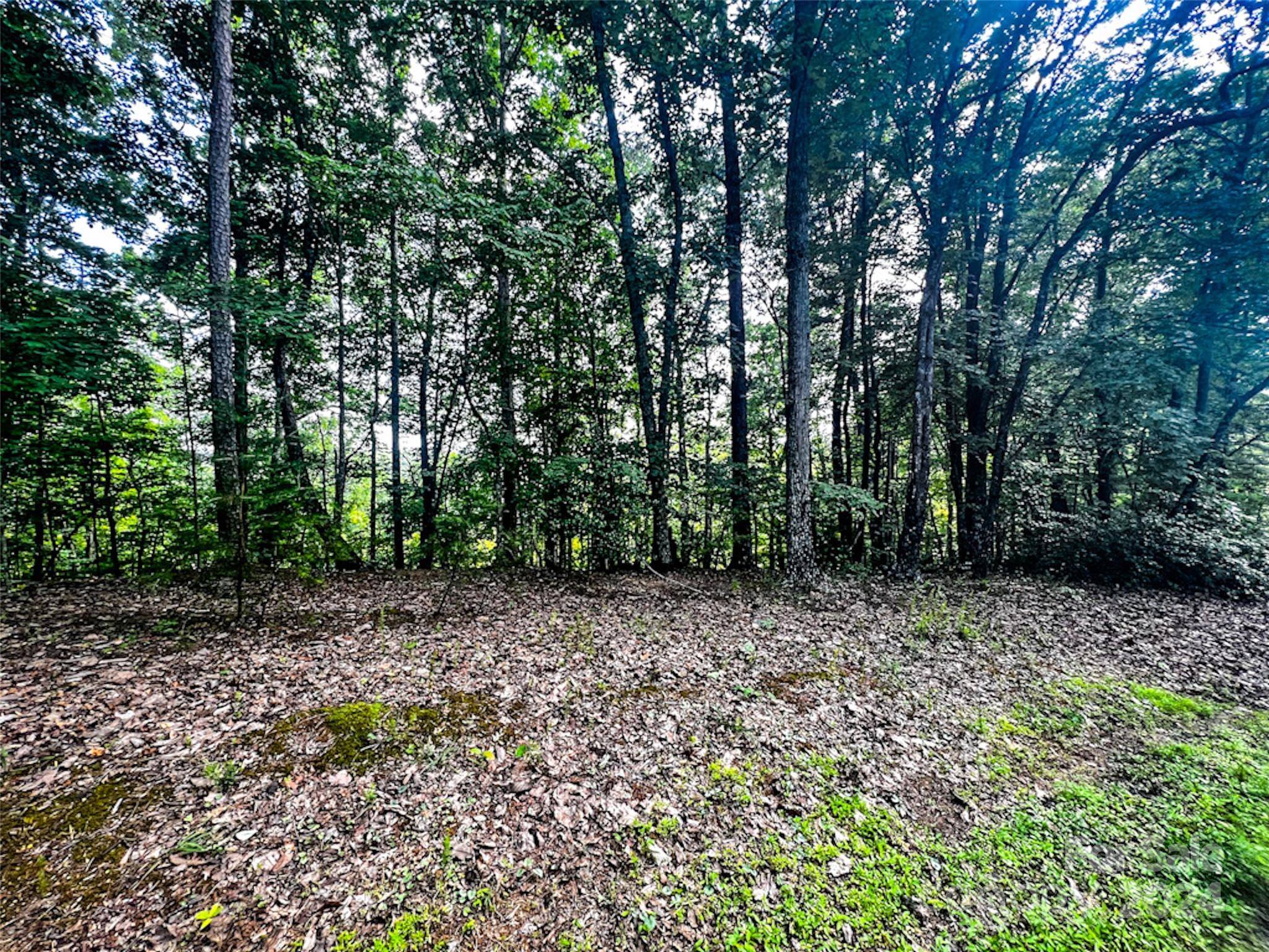00 Whitney BLVD #Lot 124, Lake Lure, NC 28746