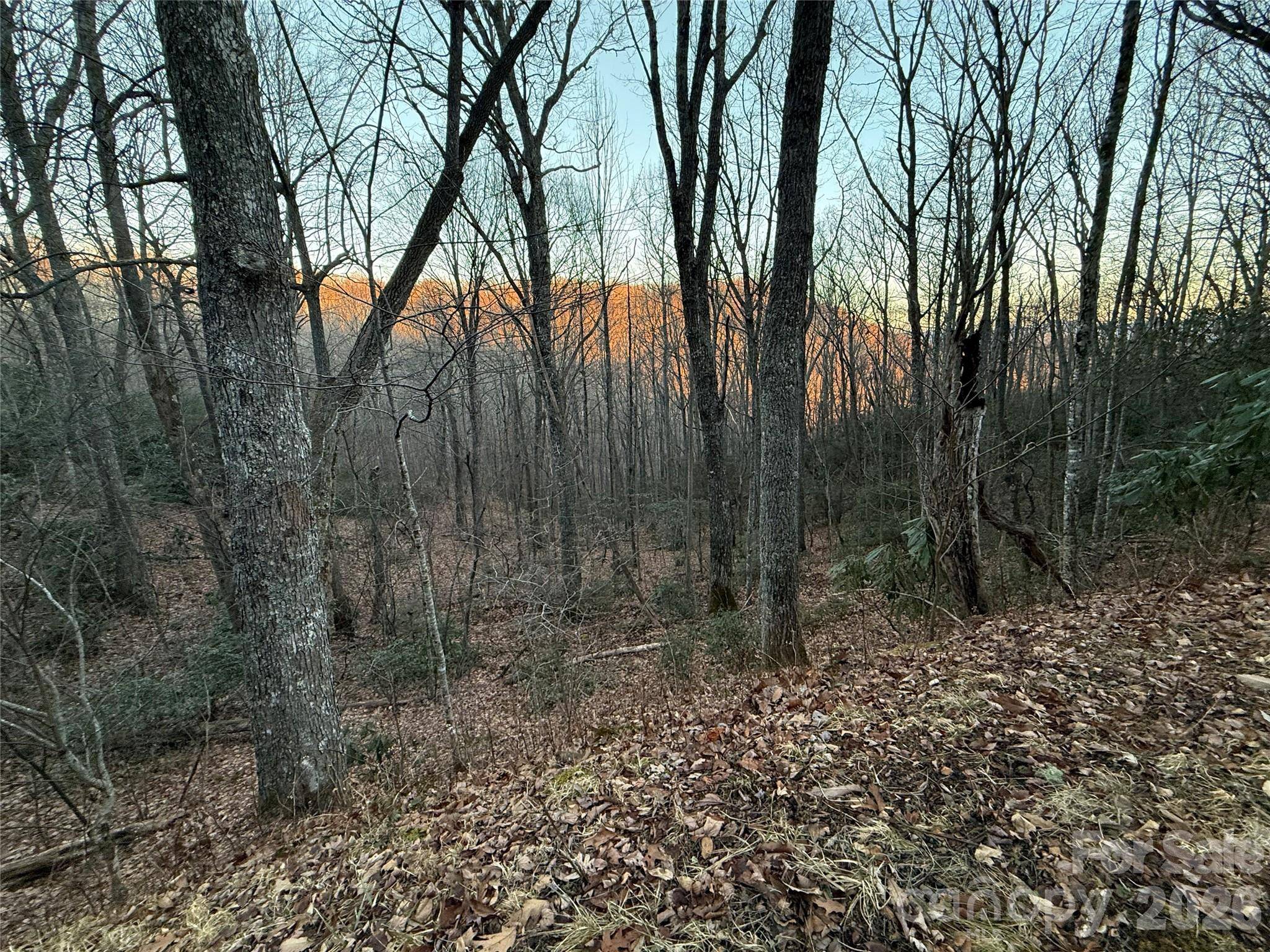 Lot 32 Bear Hollow RD #32, Waynesville, NC 28785