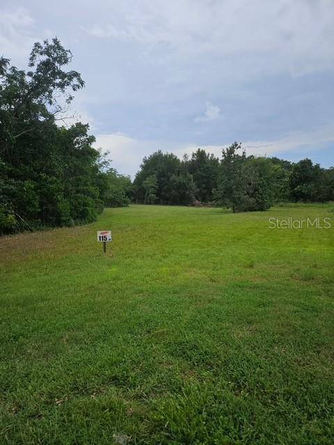 26116 ESTATES RIDGE DR, Sorrento, FL 32776