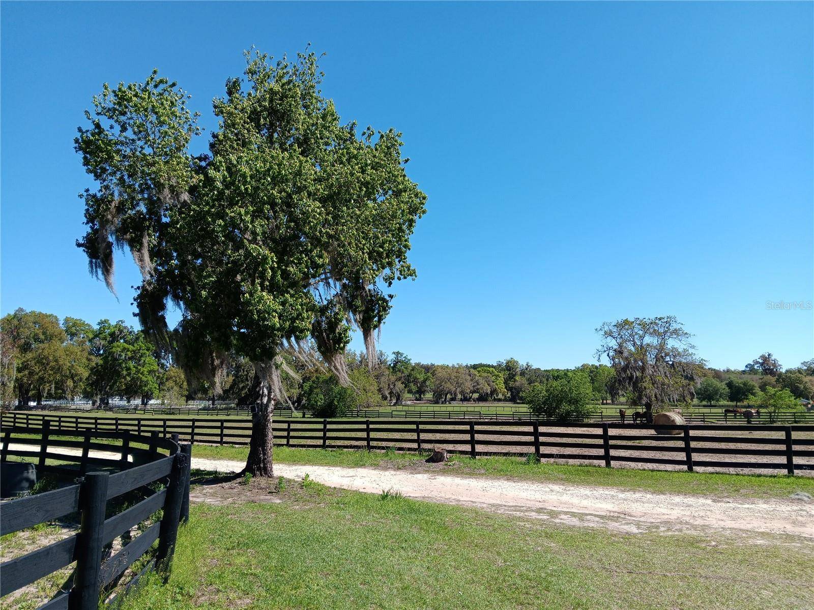 2630 NW 140TH ST, Citra, FL 32113