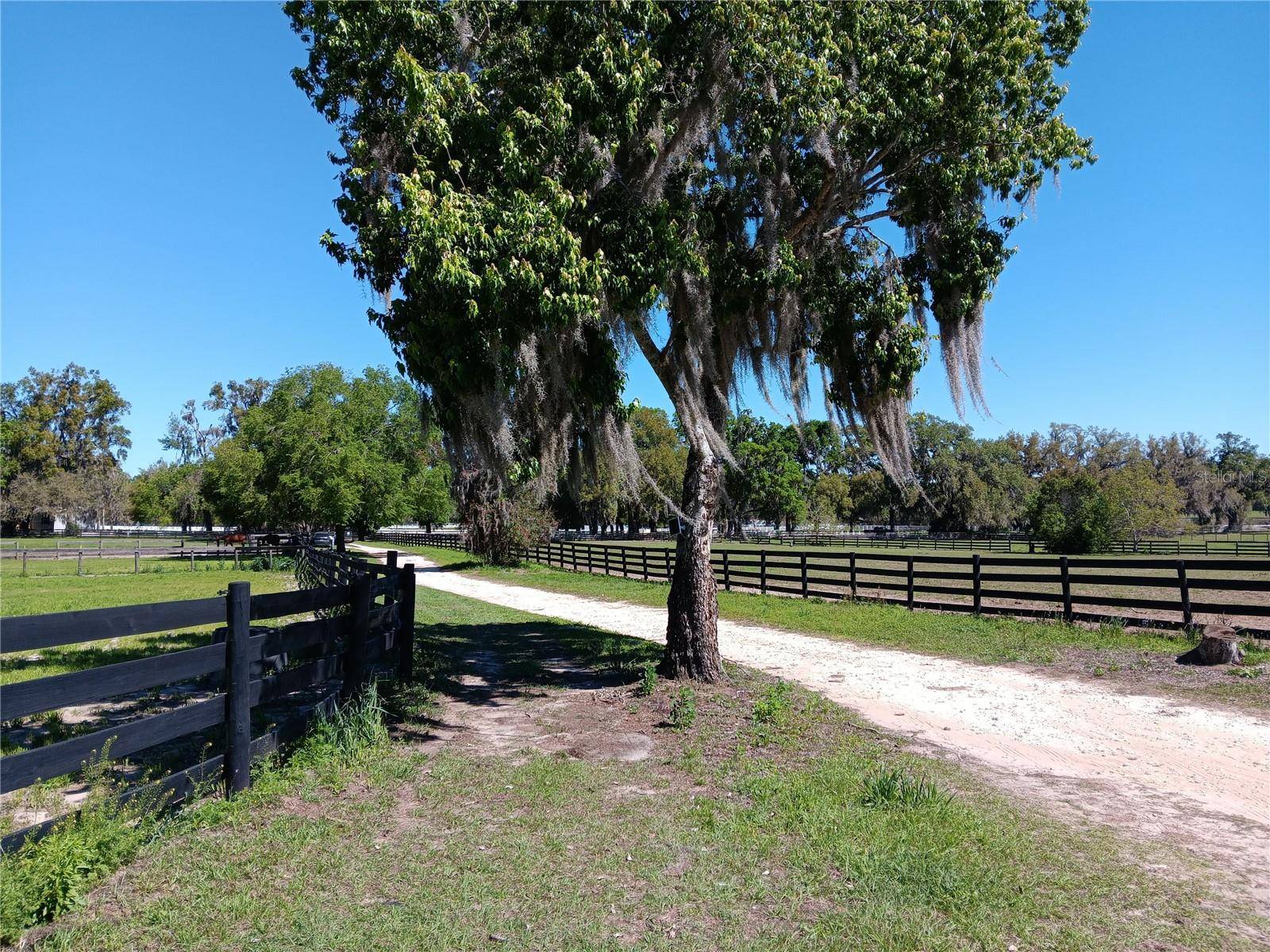 2630 NW 140TH ST, Citra, FL 32113