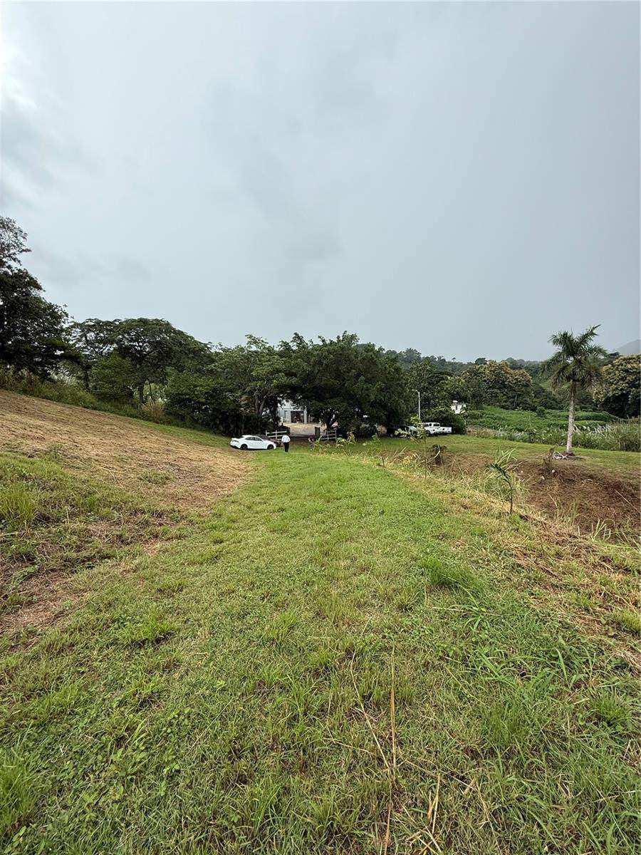 ROUTE 159, Corozal, PR 00783