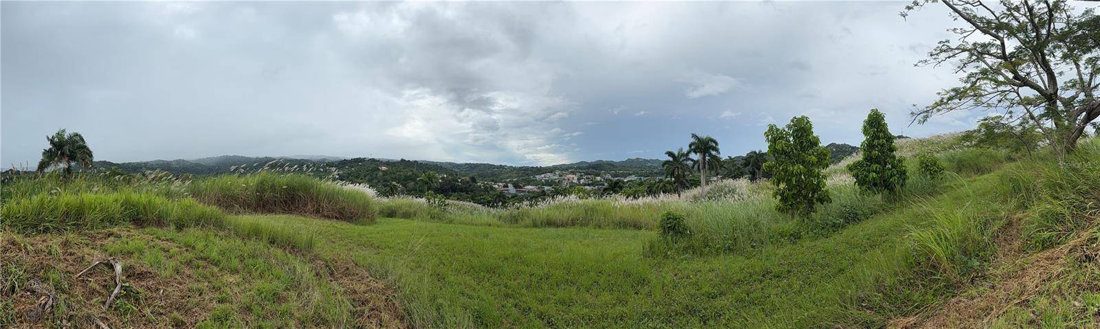 ROUTE 159, Corozal, PR 00783