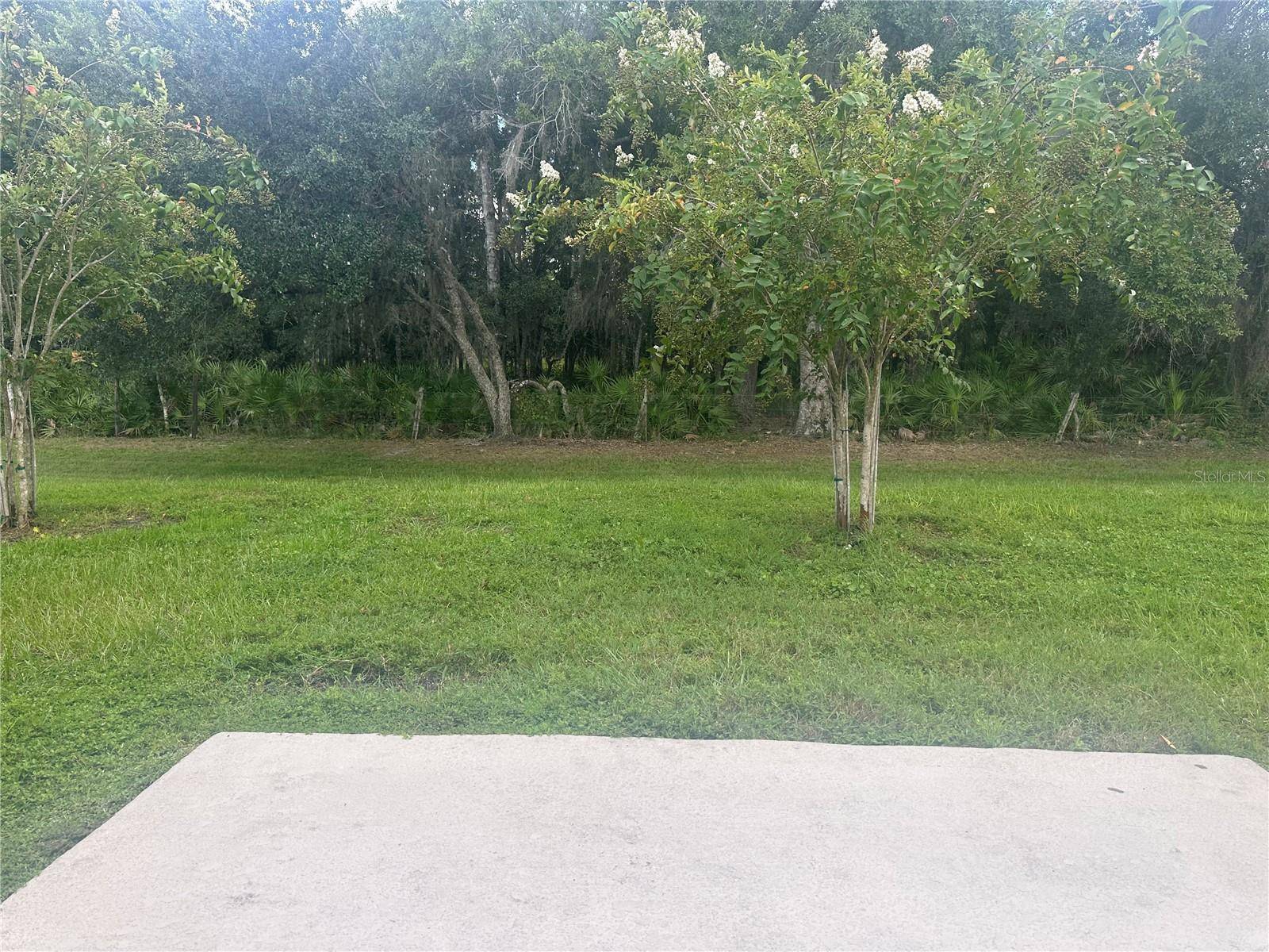 4439 TWISTED TWIG BND, Kissimmee, FL 34746