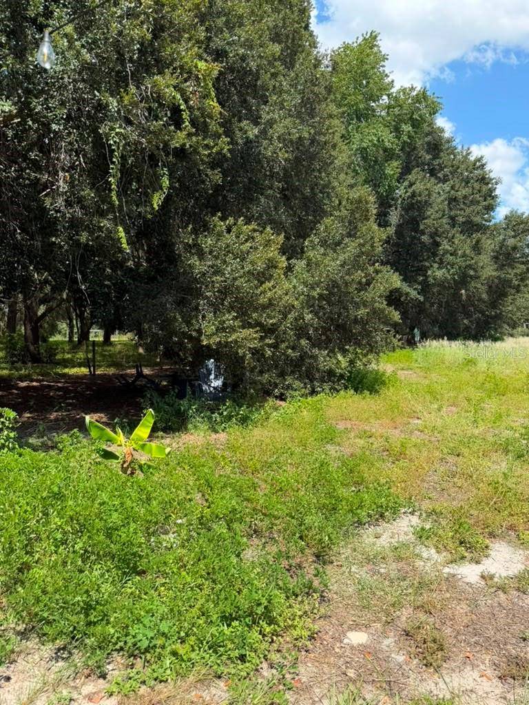 10217 QUINN RD, Polk City, FL 33868