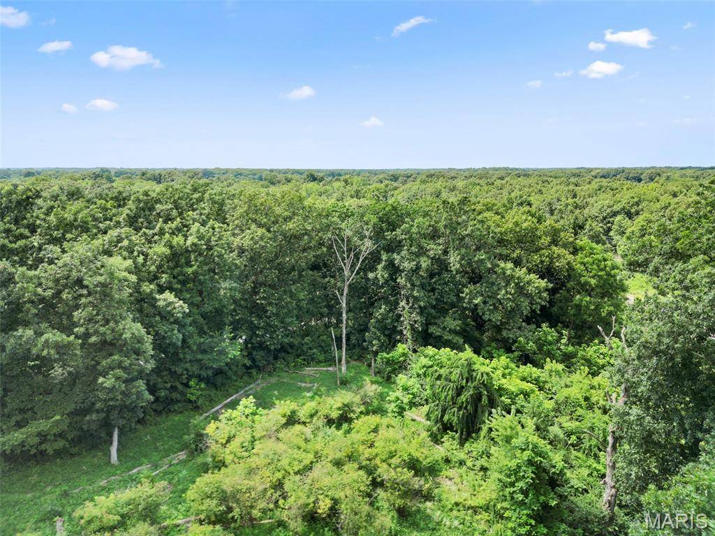 10228 Donnellson AVE, Donnellson, IL 62019