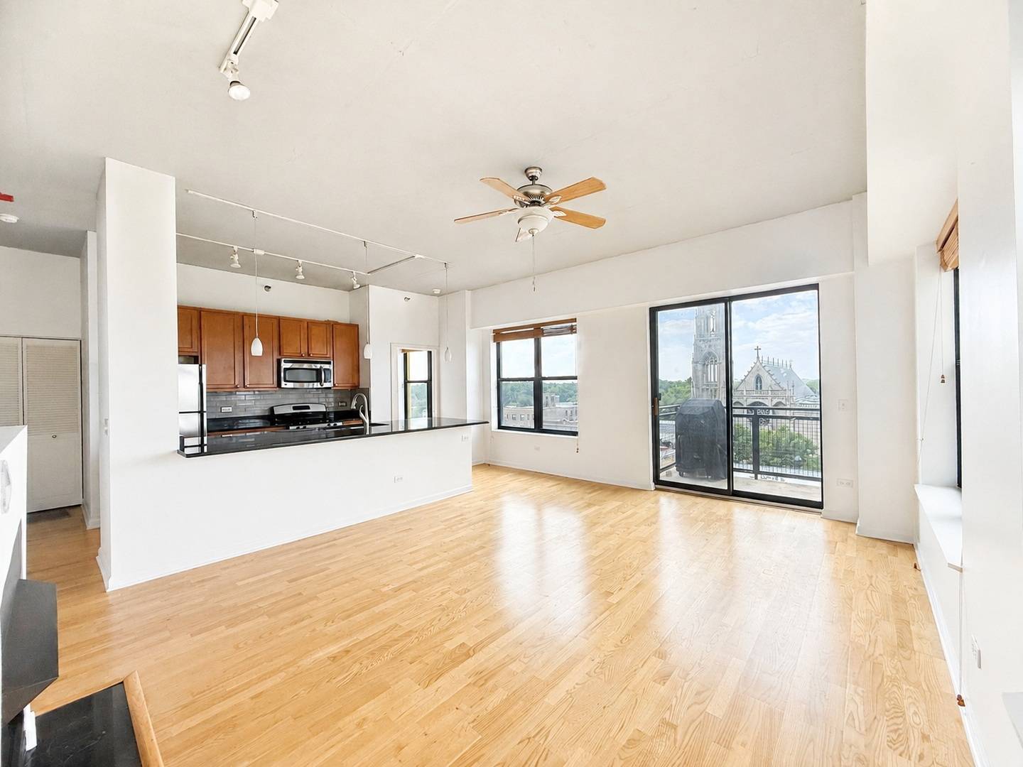 1122 W Catalpa AVE #716, Chicago, IL 60640