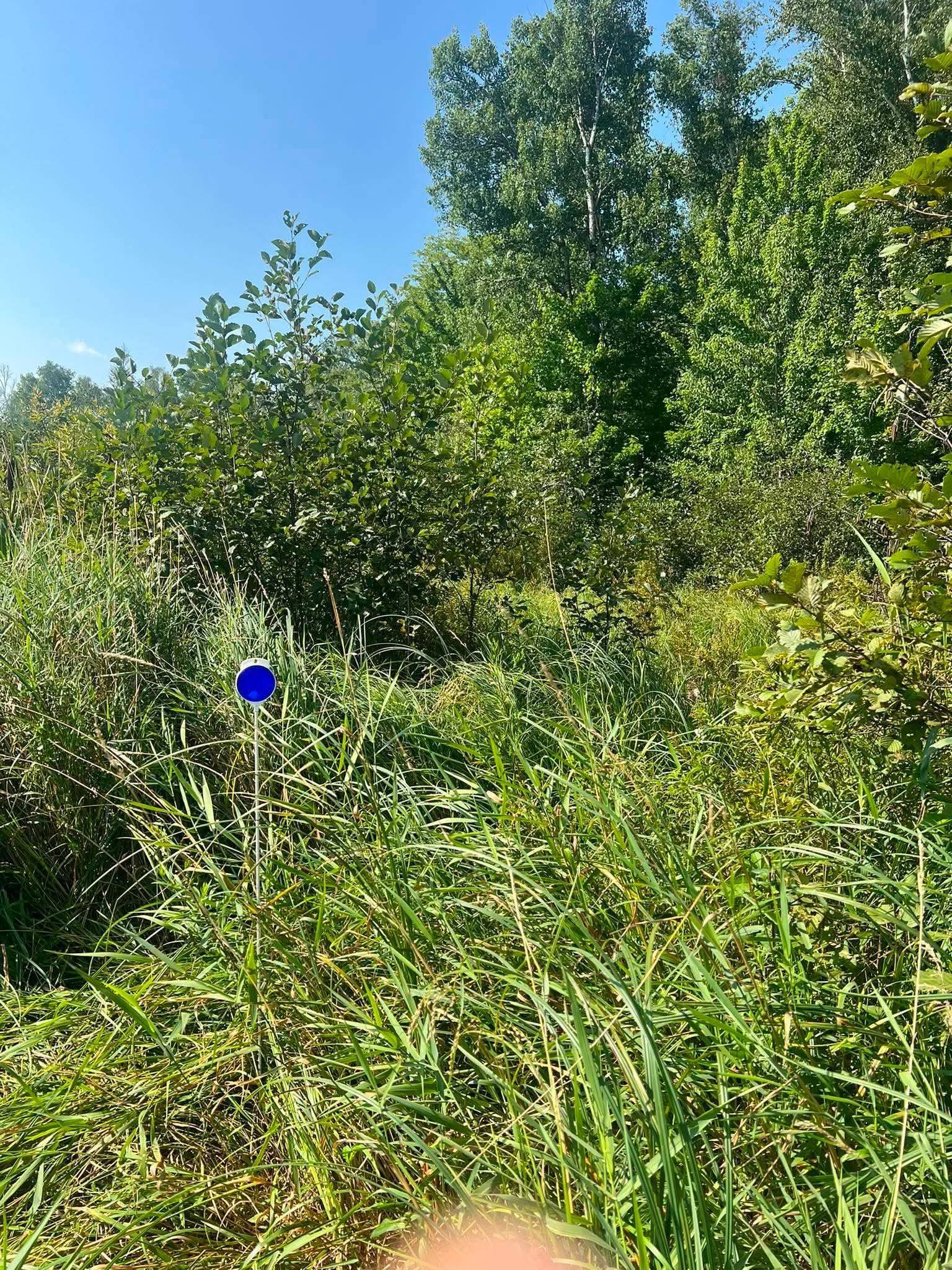 TBD Happy Tree Lane, Bruno, MN 55712