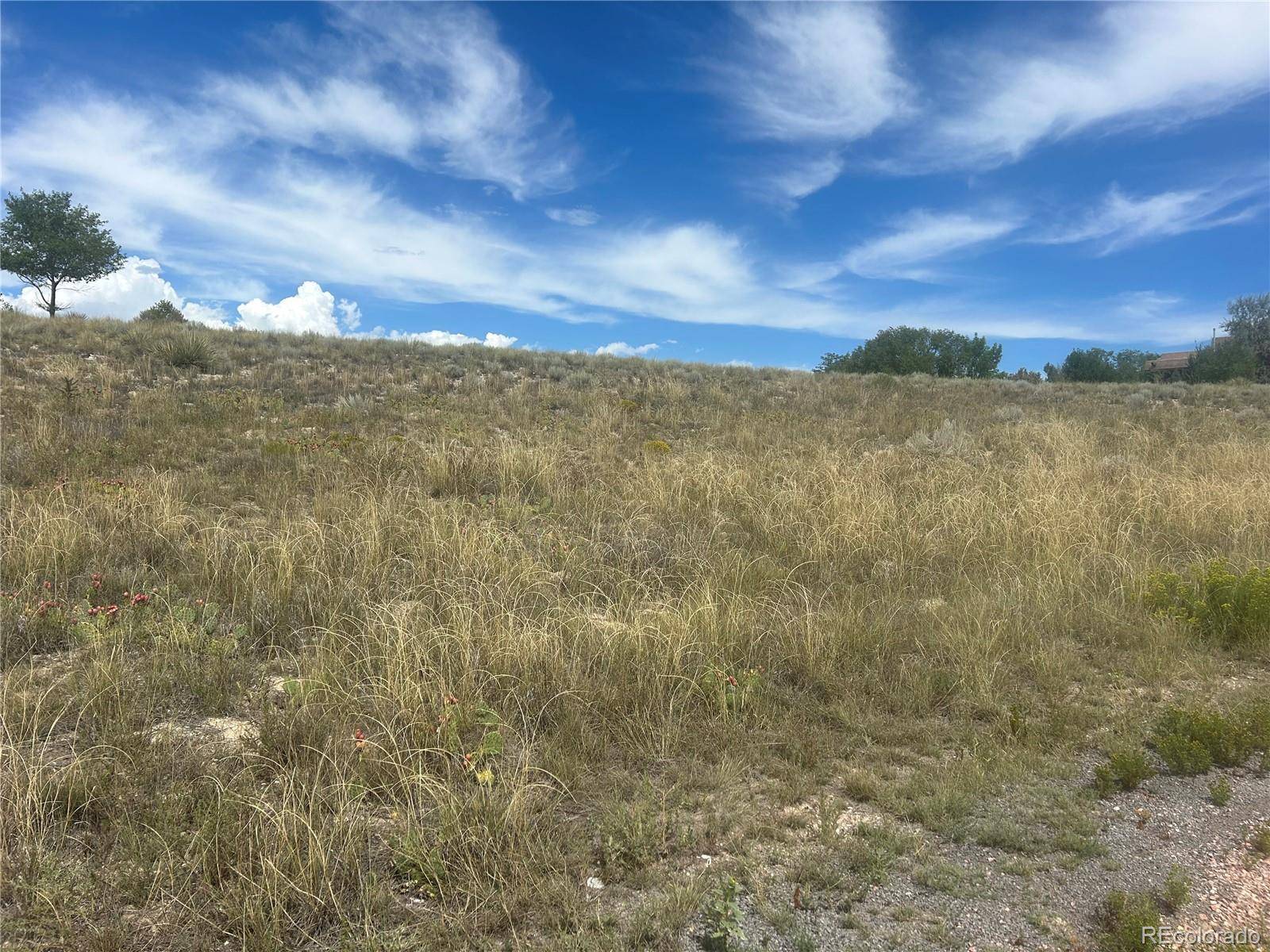 213 W Palomar PLZ, Pueblo West, CO 81007