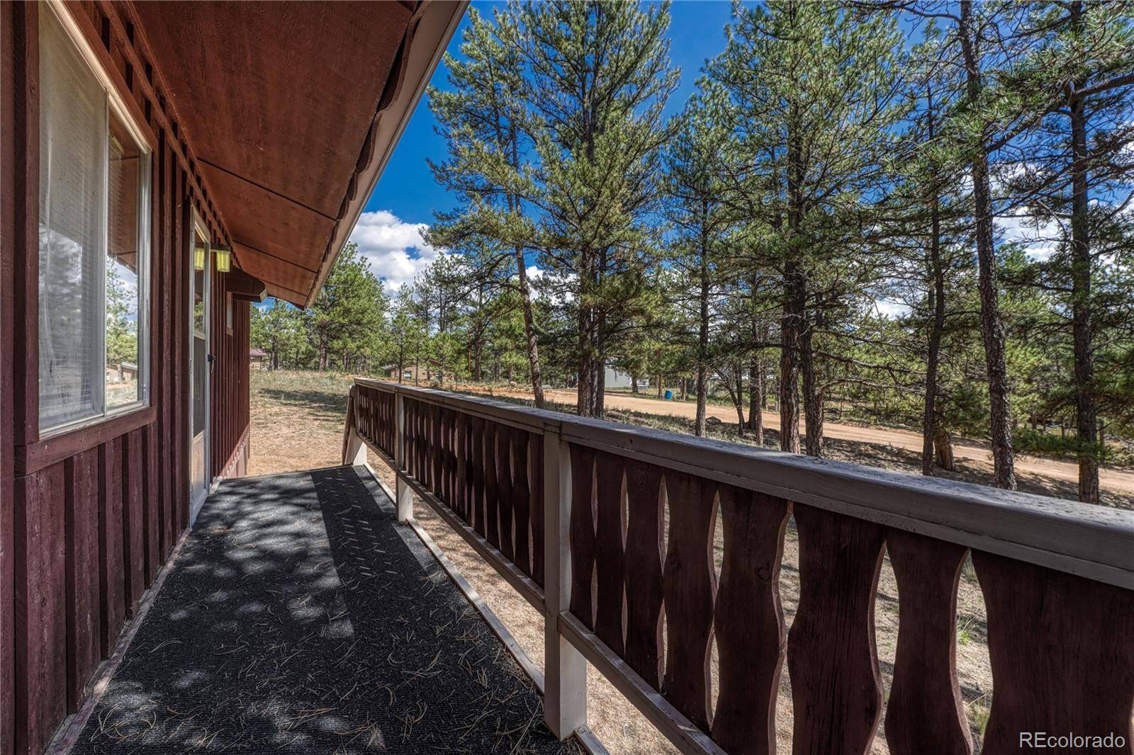 101 Dunlap DR, Florissant, CO 80816