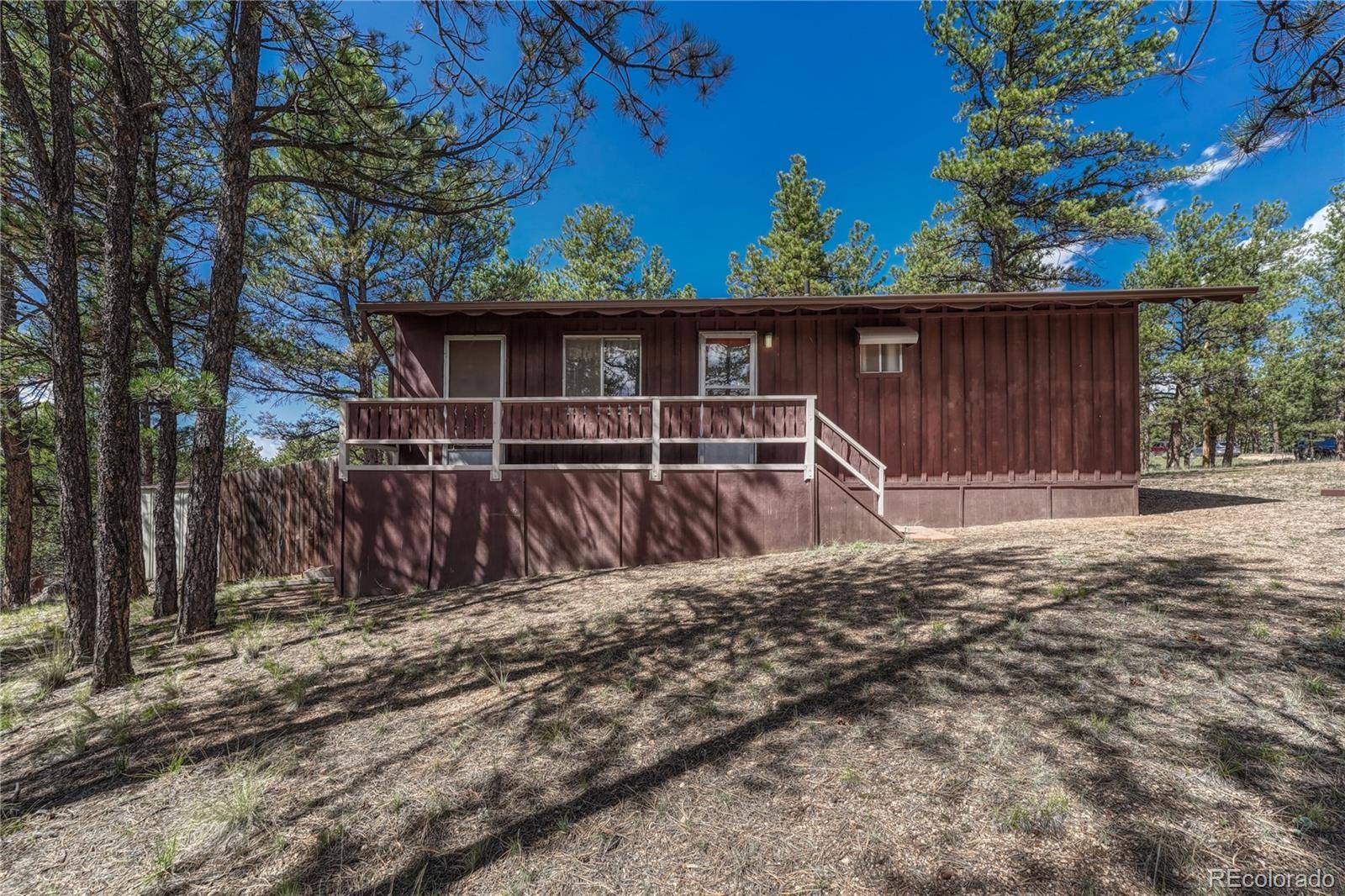 101 Dunlap DR, Florissant, CO 80816