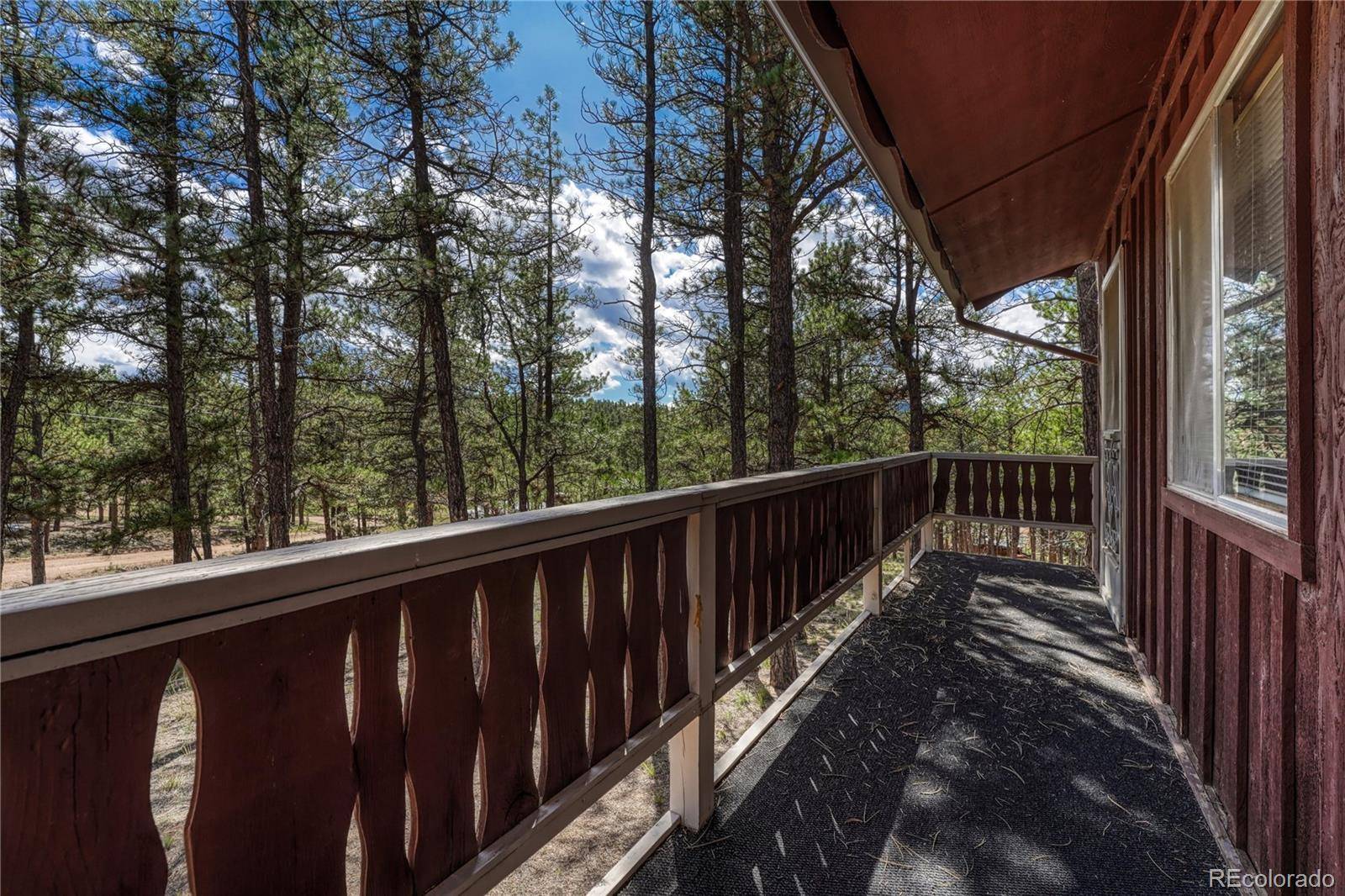 101 Dunlap DR, Florissant, CO 80816