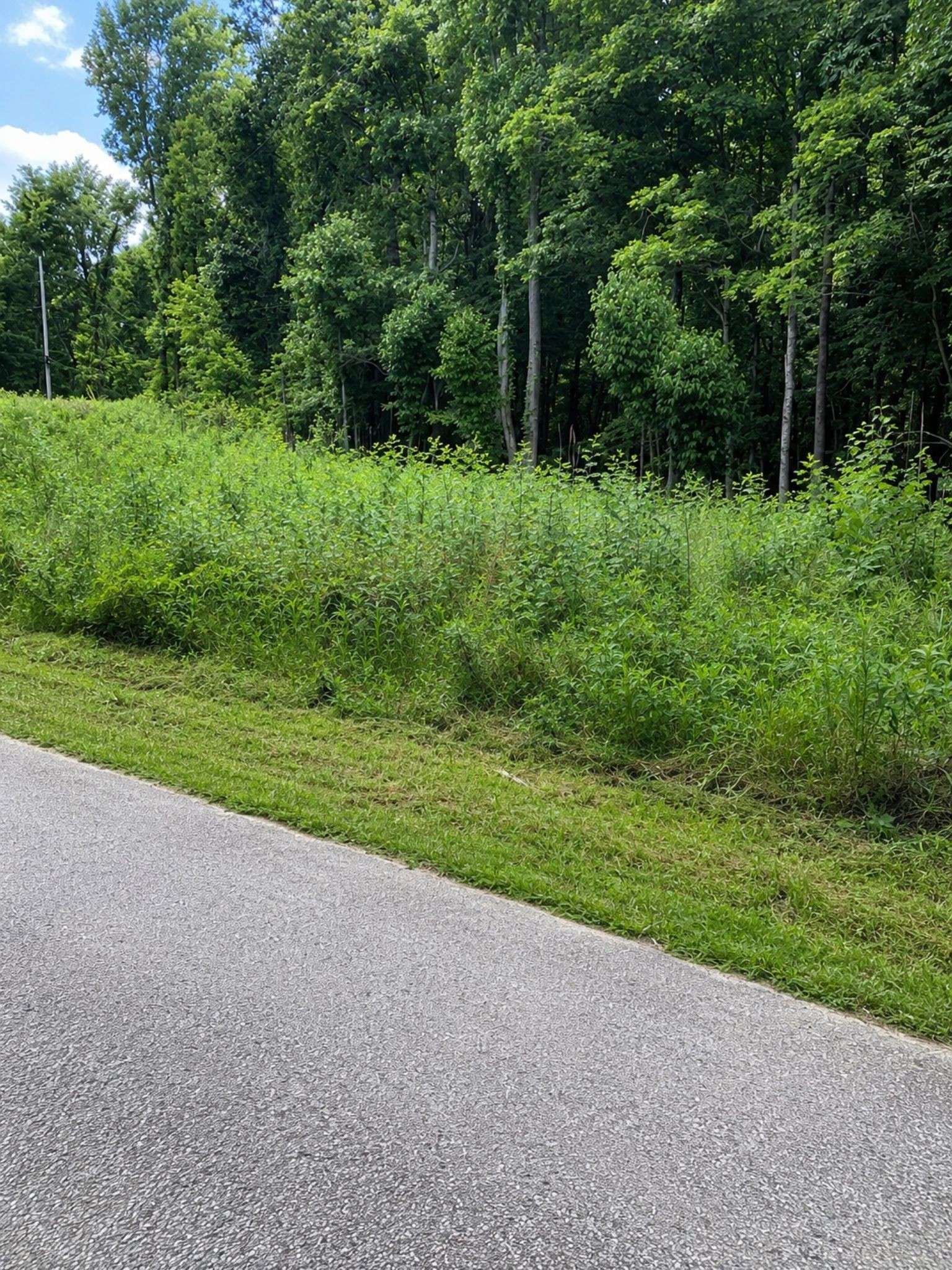 0 Chandler Rd, Woodlawn, TN 37191
