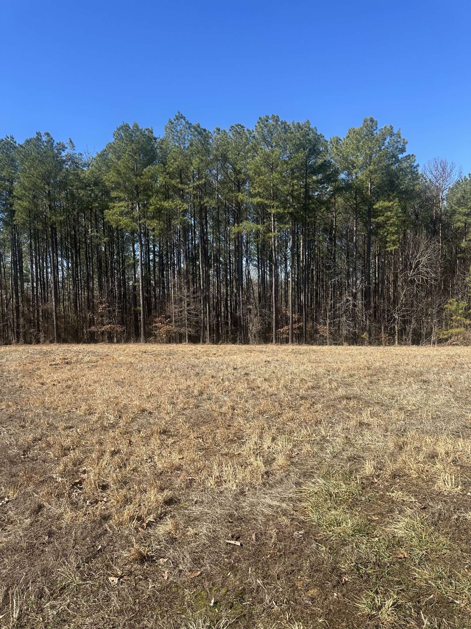 1970 Shores Trl, Stewart, TN 37175