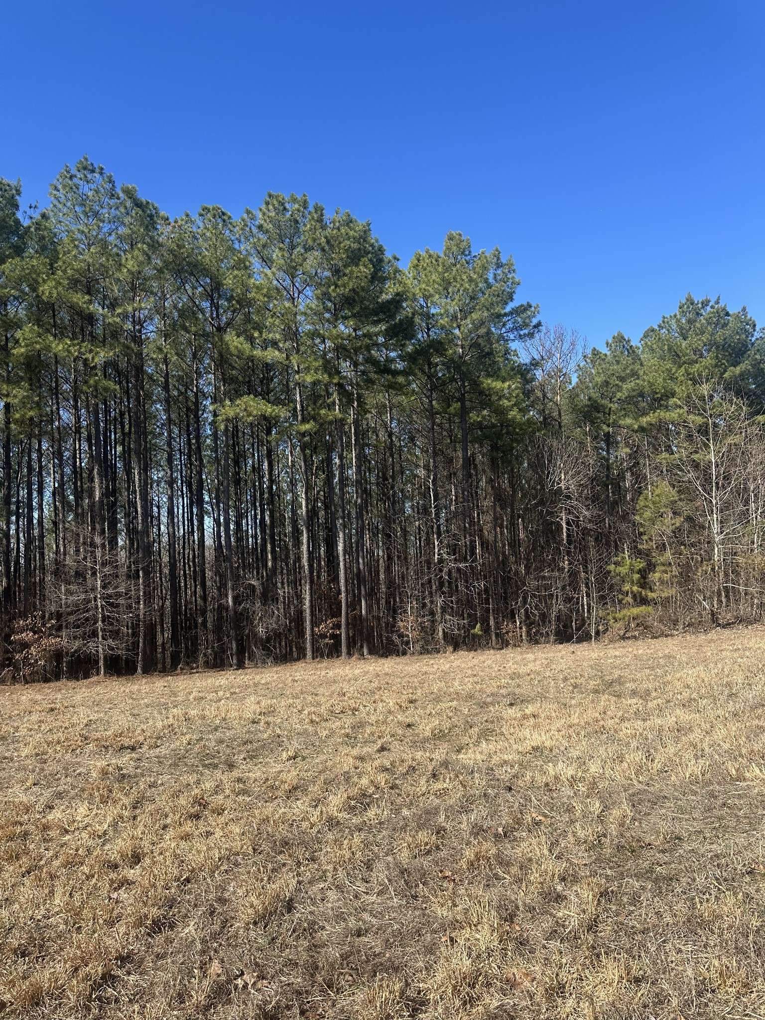 1970 Shores Trl, Stewart, TN 37175