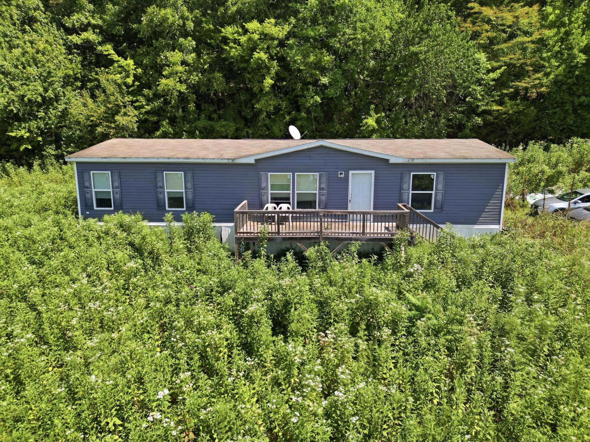 349 Young Branch Rd, Dixon Springs, TN 37057