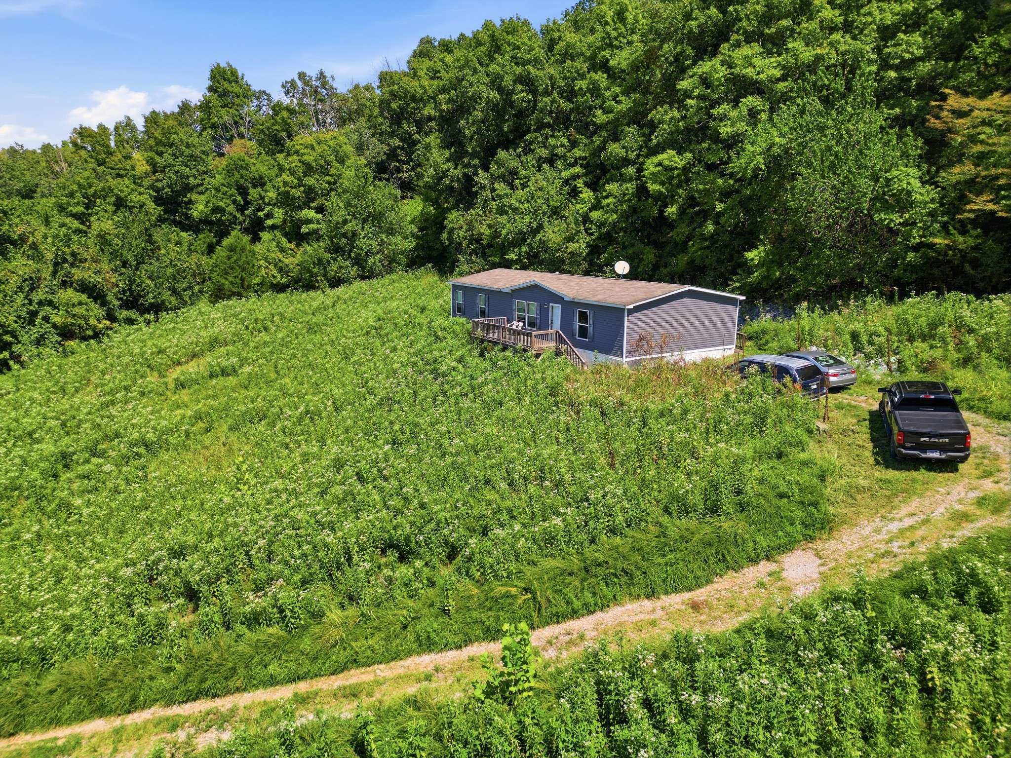 349 Young Branch Rd, Dixon Springs, TN 37057
