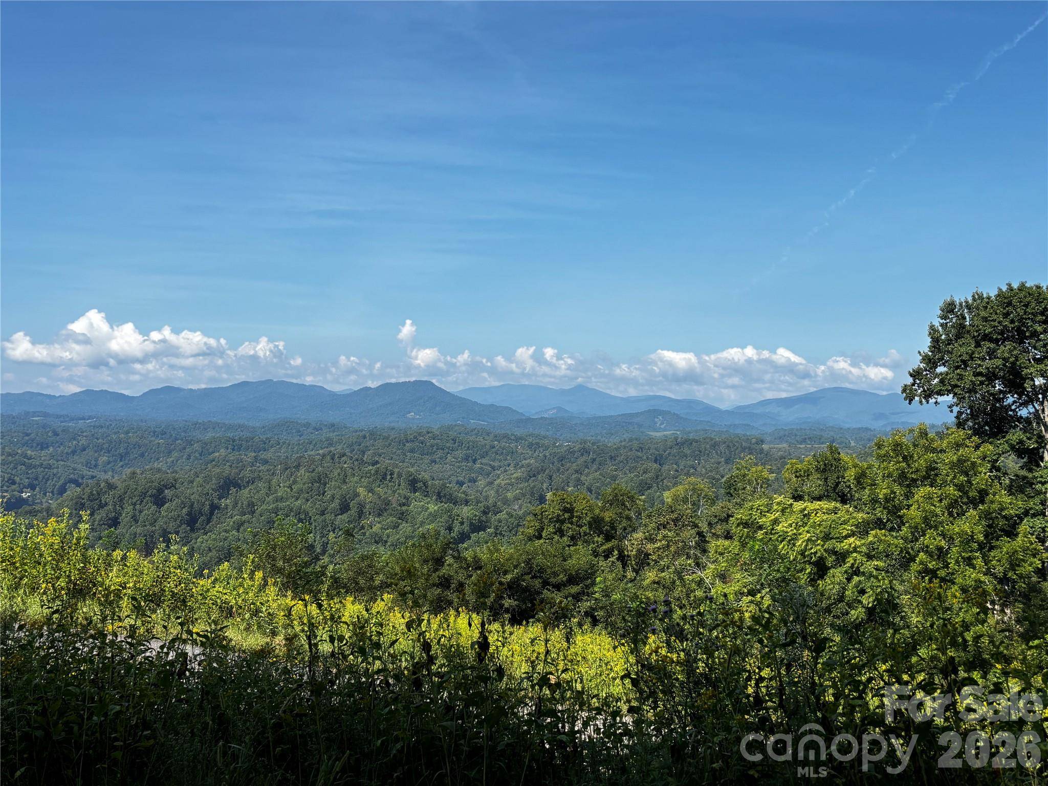 #9 Sunset Mountain RD, Bakersville, NC 28705