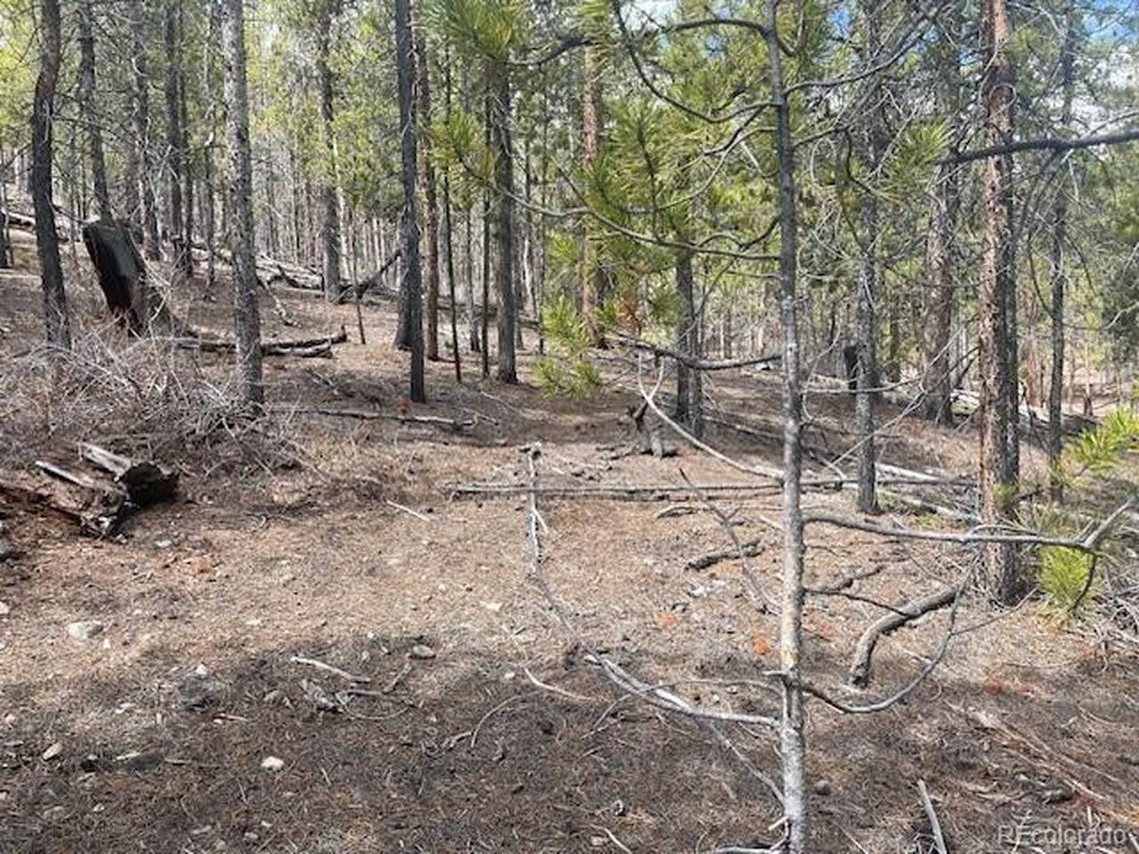 105 Parry Peak, Twin Lakes, CO 81251