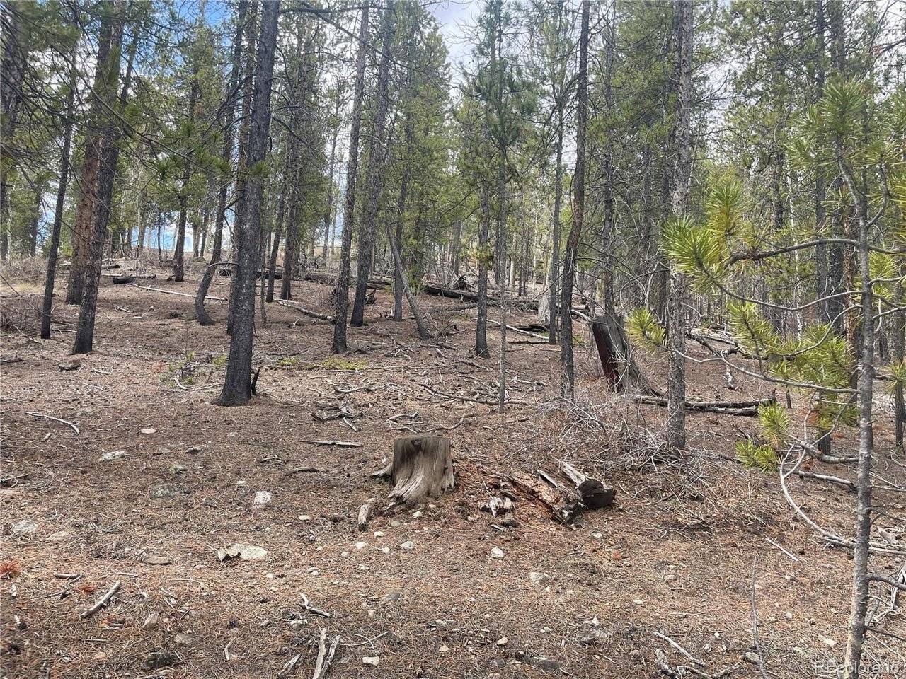 105 Parry Peak, Twin Lakes, CO 81251