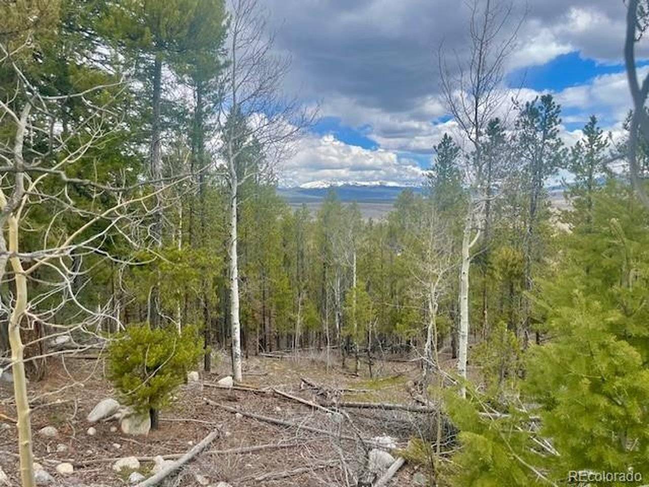 105 Parry Peak, Twin Lakes, CO 81251