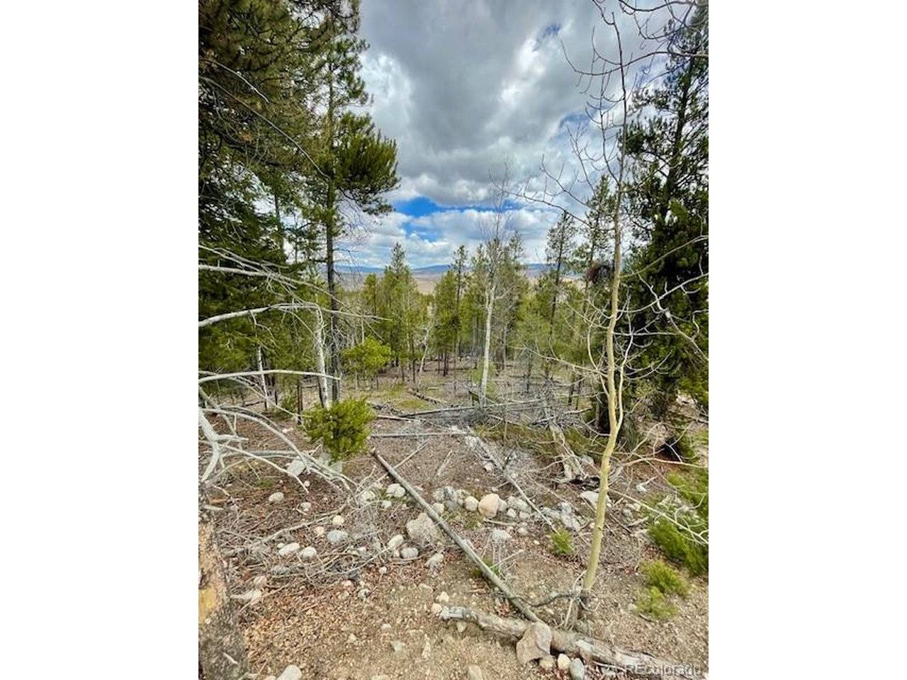 105 Parry Peak, Twin Lakes, CO 81251