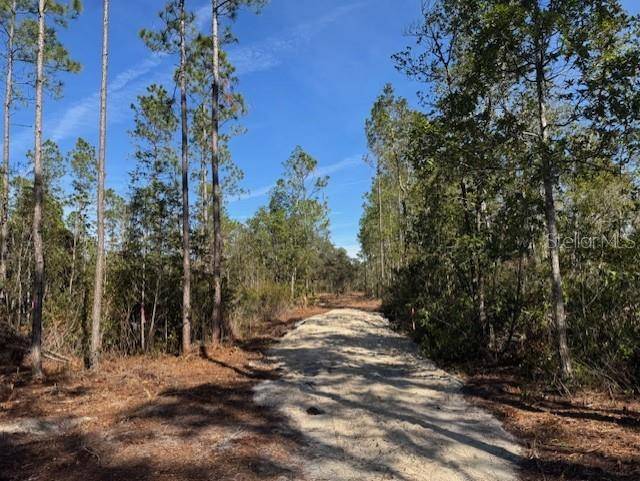 11901 NE 150TH AVE RD, Fort Mc Coy, FL 32134