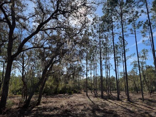 11901 NE 150TH AVE RD, Fort Mc Coy, FL 32134