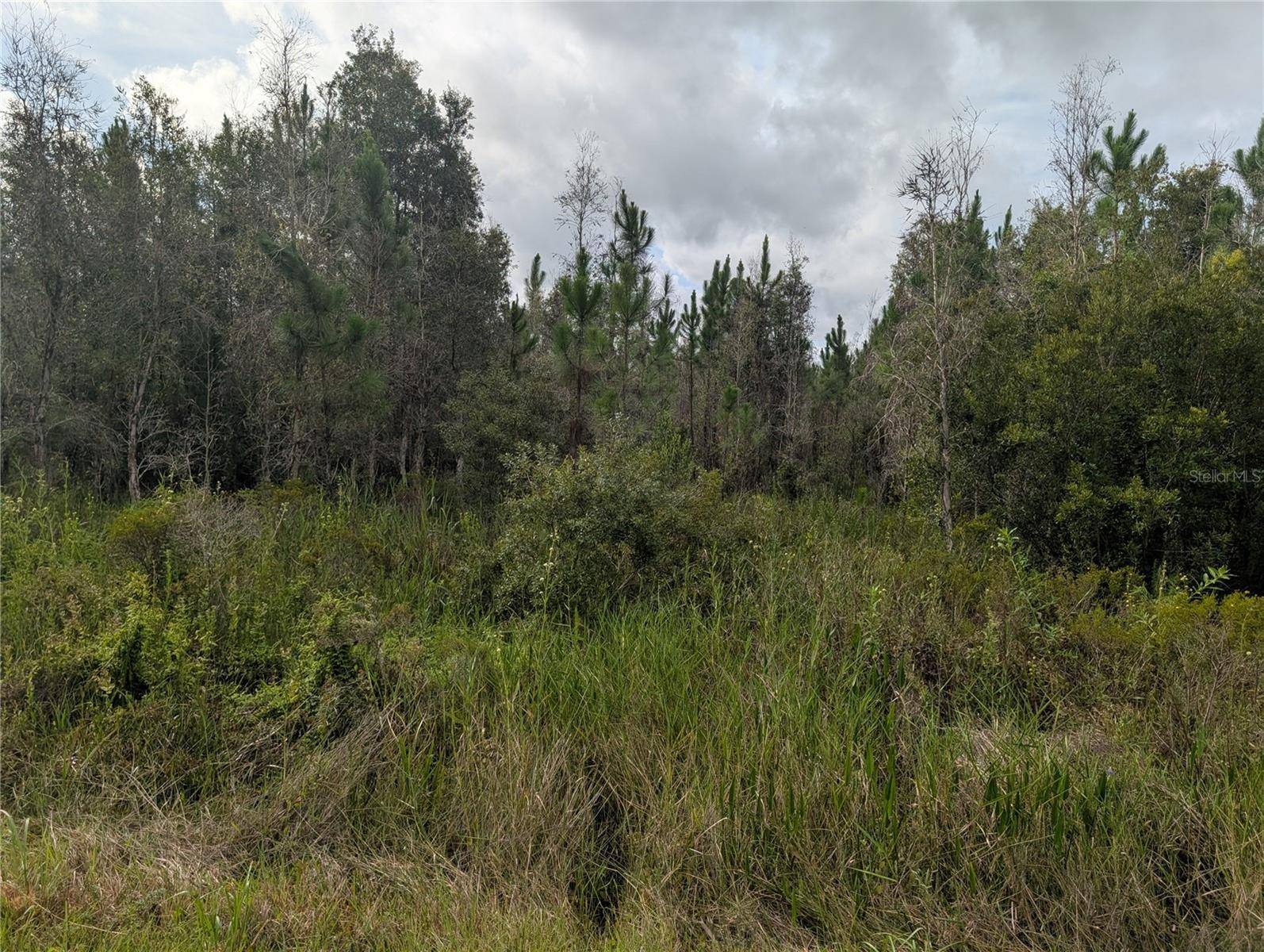 MEADOWLARK BLVD, Indian Lake Estates, FL 33855