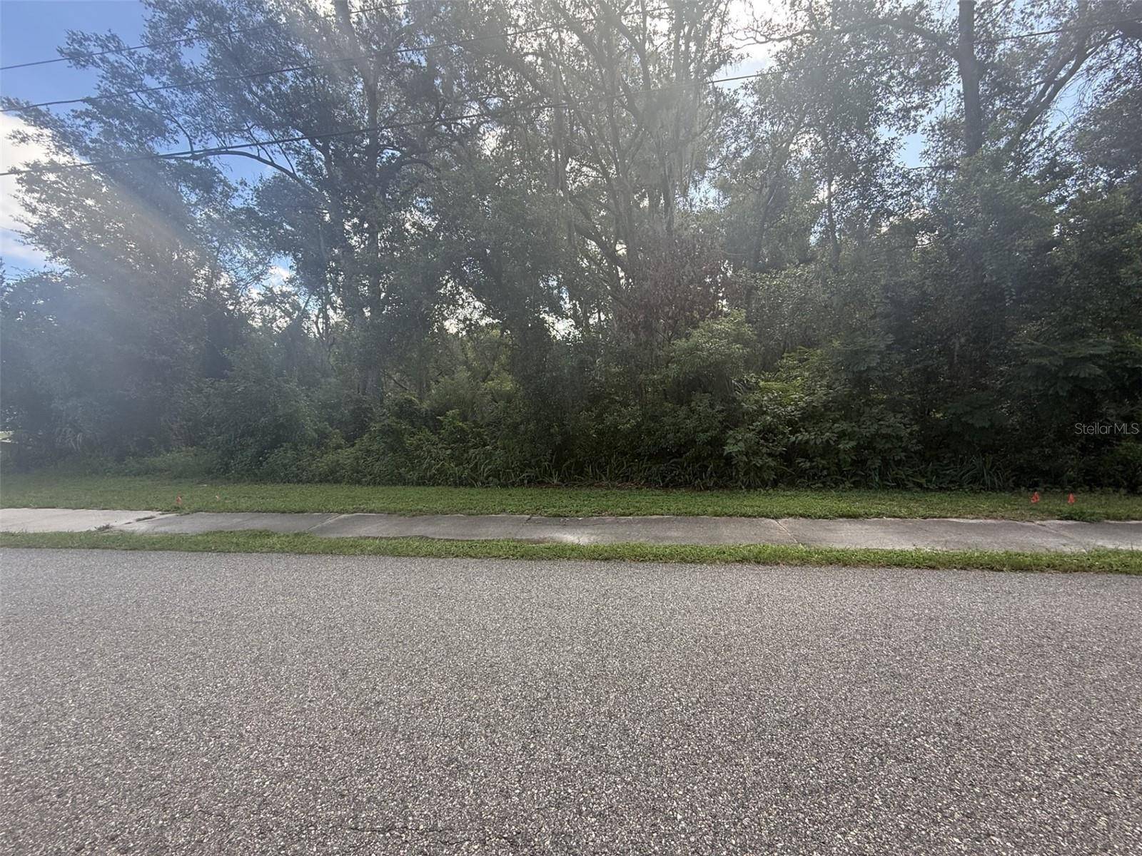 281 N SUMMIT AVE, Lake Helen, FL 32744
