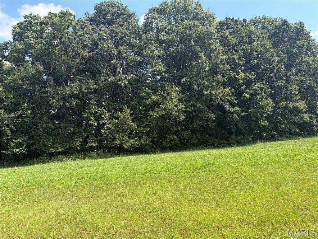 100 Summers DR, Hawk Point, MO 63349