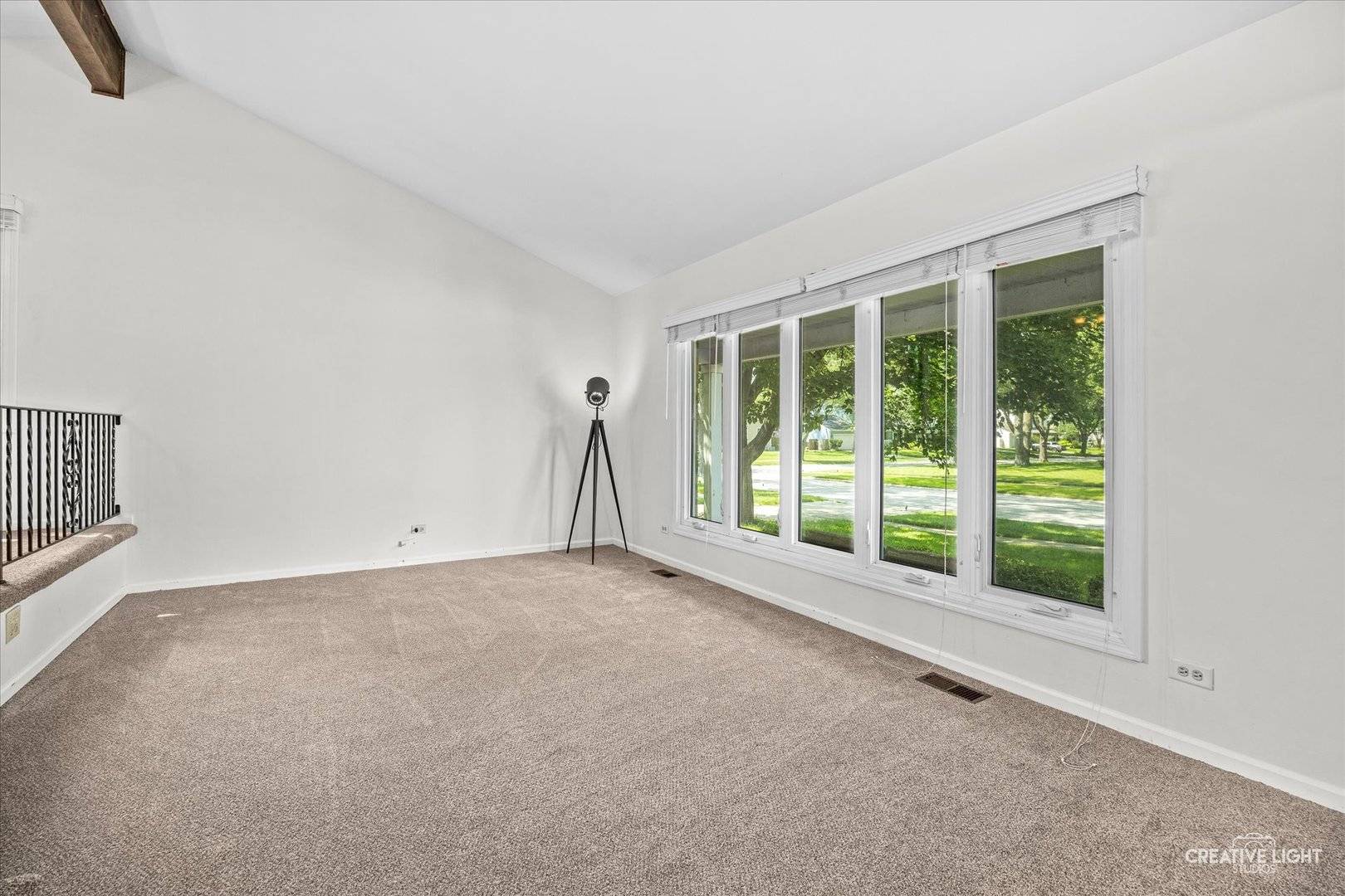 1164 Evergreen AVE, Naperville, IL 60540