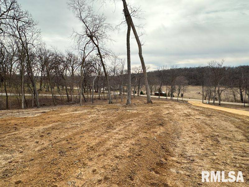 Lot 2 225TH ST, De Witt, IA 52742