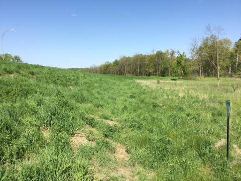 xxx County Road 24 & 63rd Ave, Cannon Falls, MN 55009