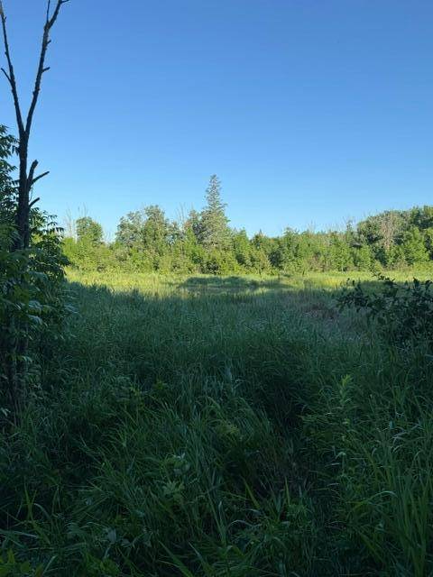 TBD Old Grade, Pine River, MN 56474